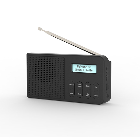 Portable DAB/FM Radio YM-236